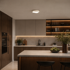 Pebble Flush Mount Ceiling Light