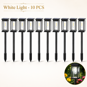 Pack 10 White Light