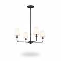 4-Light Ceiling Light Chandelier
