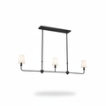 3-Light Ceiling Light Chandelier