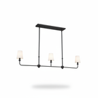 3-Light Ceiling Light Chandelier
