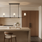 3-Light Ceiling Light Chandelier