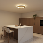 Dimmable LED Ceiling Light – Arden