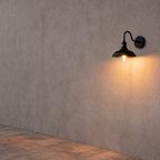 Industrial Gooseneck Outdoor Wall Sconce